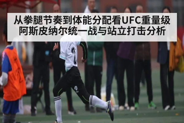 从拳腿节奏到体能分配看UFC重量级阿斯皮纳尔统一战与站立打击分析(kaiyun)